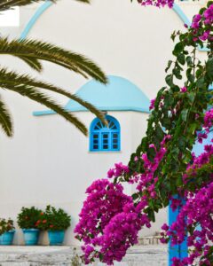 The Best of Aegean