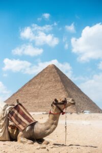 Explore Egypt